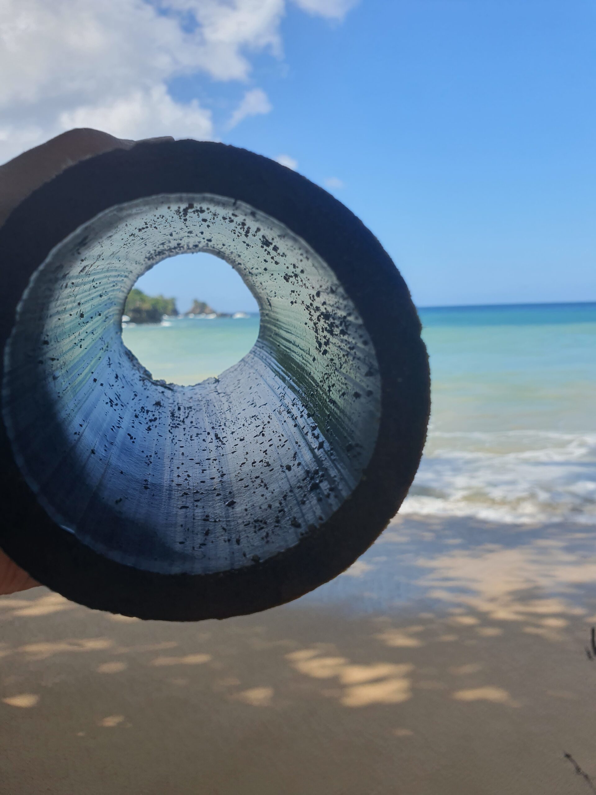 Blick durch einen Bambus ins Meer